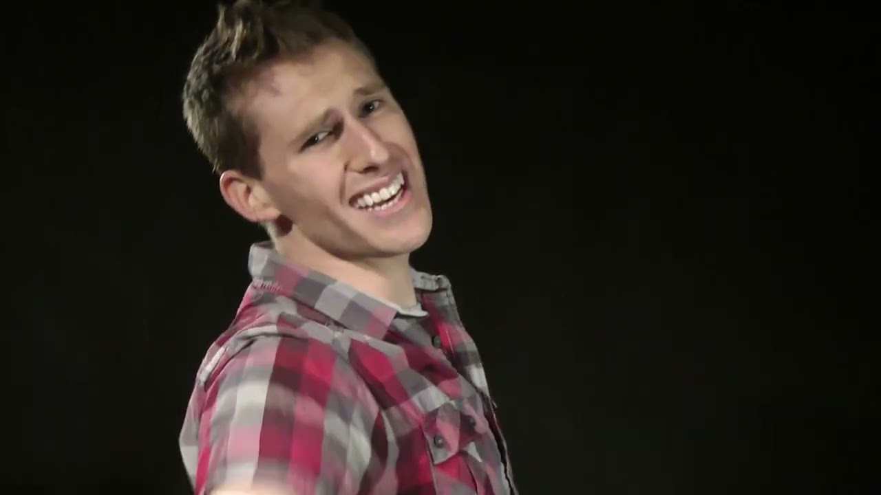 "All The Small Things" Pikmin music video