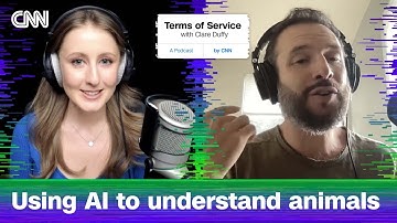 Can AI really help us decode our pets’ communication? | Terms of Service