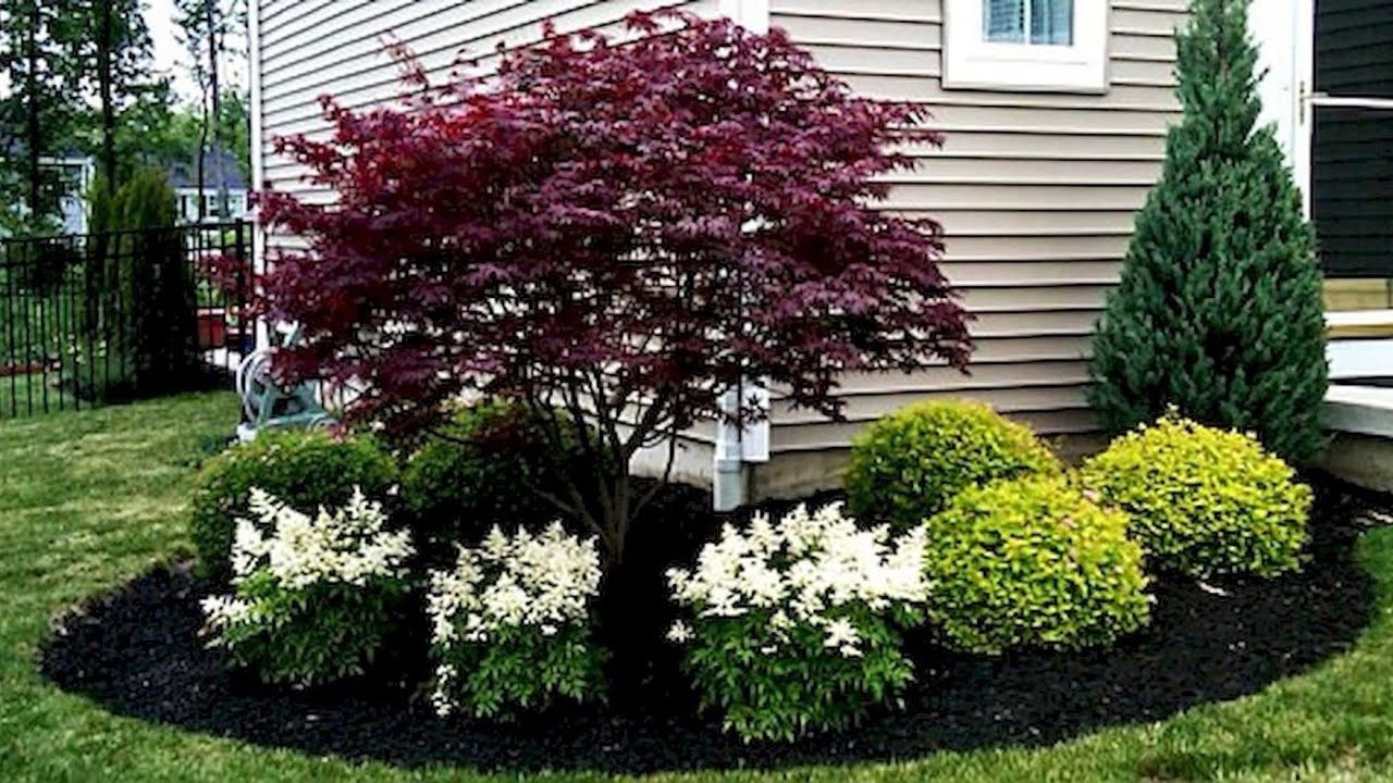 Створюємо декоративний сад разом#garden 