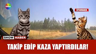 Görevini yapan haberciye dehşeti yaşattılar!