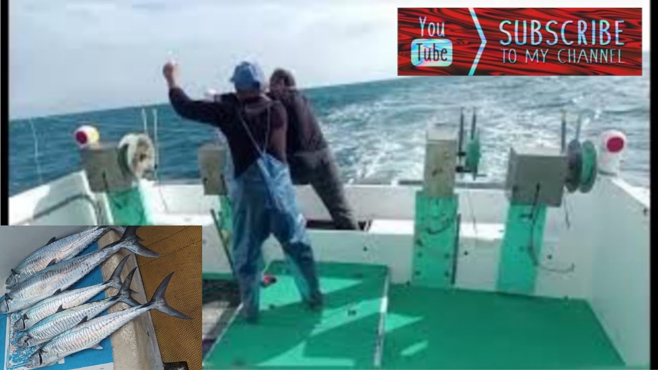 02-04-26 part 4 Taiwan fishing boat operation catch king mackerel using artificial bait #fishing 
