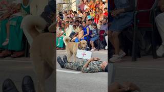Dog 🐕 PARADE at suchetgarh border ⚔️🇮🇳 🪖#shorts #republicday #15august #bs #dogs