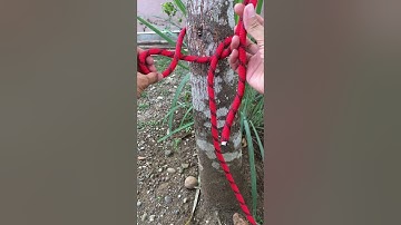 Amazing Loop Knots With Quick Release  #knotting  #knottutorial  #knottying