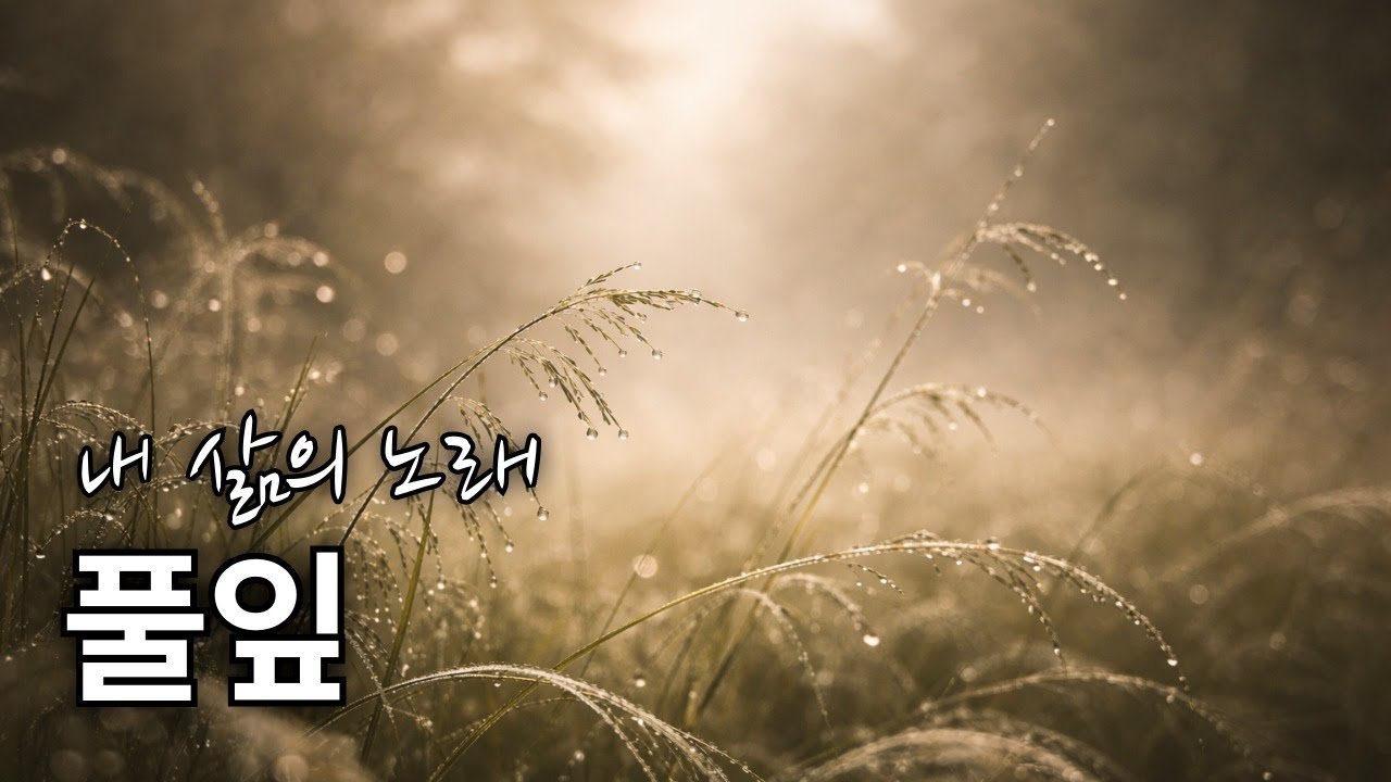 [동키뮤직] 풀잎 (Leaf) | 시에서 얻은 영감의 서정 발라드 (Feat. AI Music) 