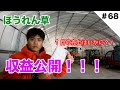 収益公開！！　ほうれん草の売上はいくらでしょう？？