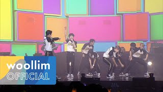 [Golden Child] '담다디' Concert Live Clip (@ 2020 Golden Child 1st Concert 'FUTURE AND PAST')