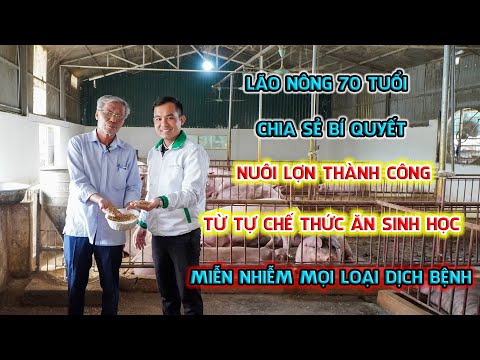 Video Nuôi lợn (heo) theo phương pháp an toàn sinh học ||... - YouTube
