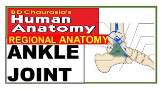 Chp12 | Ankle Joint | Lower Limb Joints | Dr Asif Lectures