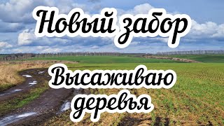 Новый забор 🏠 Высаживаю деревья 🌳