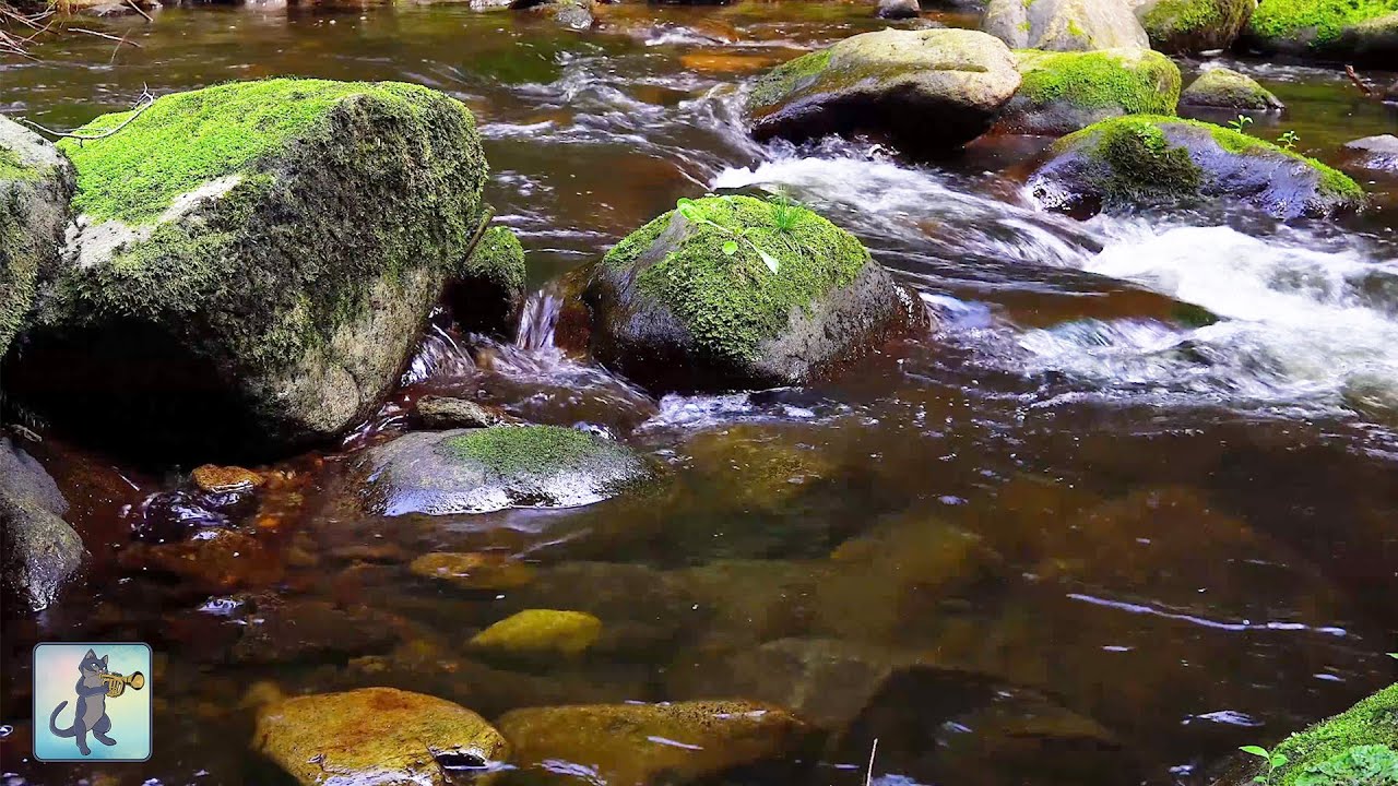 meditation music zen 4K UHD Relaxing River - Beautiful Nature Video & Relaxing River Sounds for Sleep, Study & Meditation