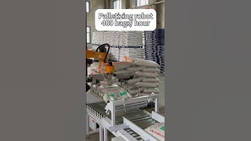 Palletizing robot#automationtechnology #linearaxis #linearmotion