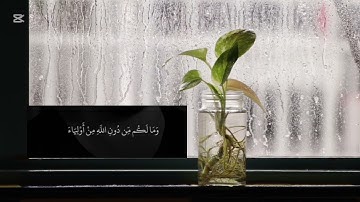 لا اله الا الله #explore #اكسبلور #المصحف #motivation #قرآن #تلاوة_خاشعة 
