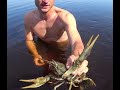 Рыбалка на реке Припять.Ловля леща,судака и раков...