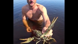 Рыбалка на реке Припять.Ловля леща,судака и раков...