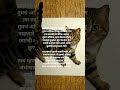 स्वतःची काही तत्व असावी.❤ #YouTube #Shorts # #Viral #Trending #NewVideo #Subscribe #Explore #geet