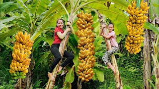 Harvest Banana Garden Goes To The Market Sell - Take Care Animals In farm - Hanna Daily Life New