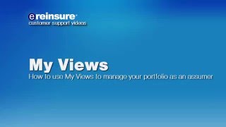 eReinsure - My Views as an Assumer