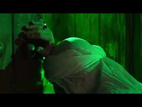 يا باب الدار