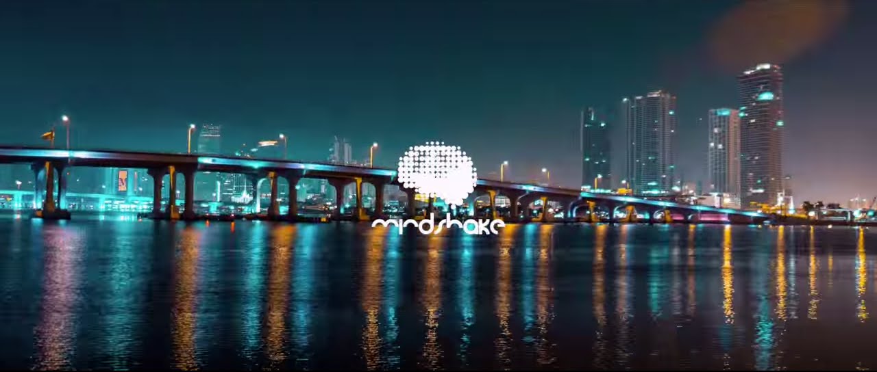 MINDSHAKE SHOWCASE at Trade Miami