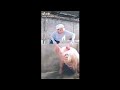 注射の反応が種の垣根を超えていてやばい。