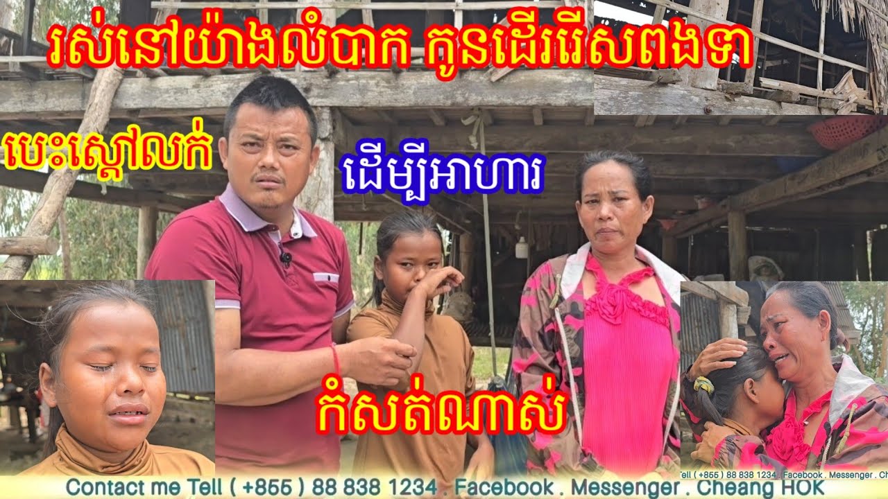 ពិតជាកំសត់ពេកហើយ ដើរ រើសពងទាតាមវាលស្រែធ្វើម្ហូប ទាំងម្តាយឈឺ រស់នៅក្រោមផ្ទះធ្លុះធ្លាយគ្មានជញ្ជាំង