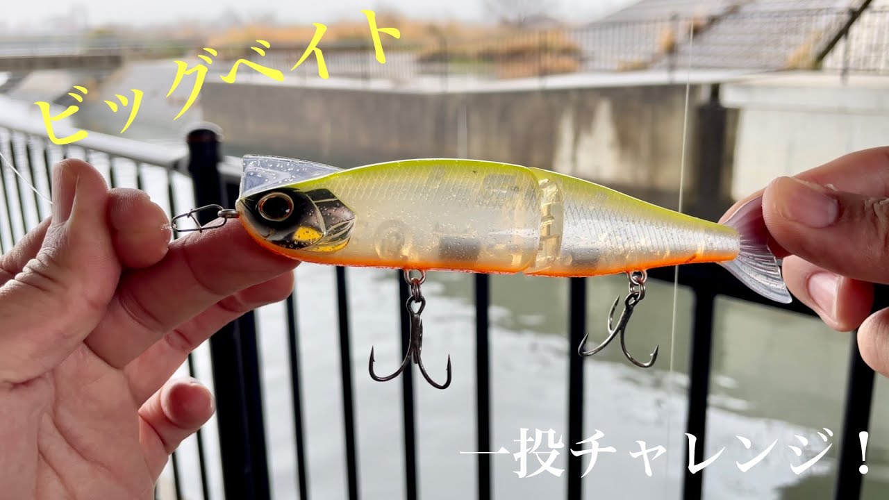 仕事前に一投チャレンジ】でかいベイトの群れを発見したのでビッグ