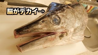 カジキの頭を割ったらデカイぷるっぷるの脳が出てきた！！