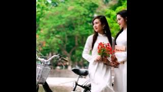 Phượng hồng - Bằng Kiều - những chiếc giỏ xe chở đầy hoa phượng