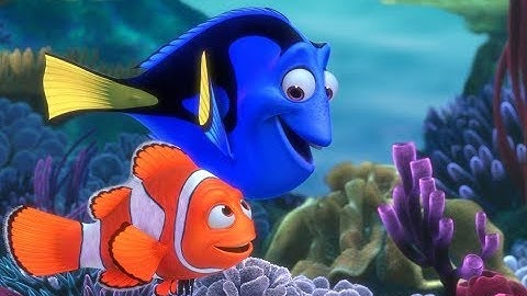Finding Nemo (Disability Rights)