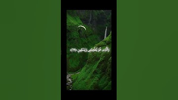 قران كريم بصوت هادئة الشيخ ياسر الدوسري #القرآن_الكريم #القرآن #ياسر_الدوسري #قران_كريم #قرآن