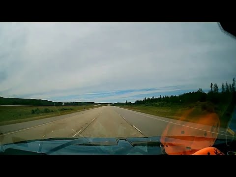 Bear Runs Across Highway in Front of Big Rig || ViralHog
