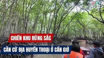 Chiến khu Rừng Sác | Căn cứ địa huyền thoại của đặc công rừng Sác Cần Giờ vang dội thế giới