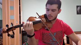 Hora lăutărească Ionică-Fulgerica-Turneanu-Sile (cover)