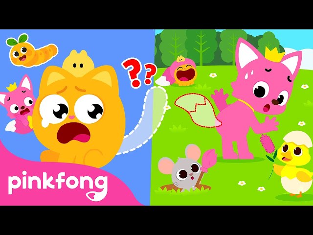 Did You Ever See My Tail? | Find the Missing Tail | Pinkfong Official