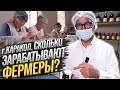 СКОЛЬКО зарабатывают ФЕРМЕРЫ в Караколе, и КТО им помогает?