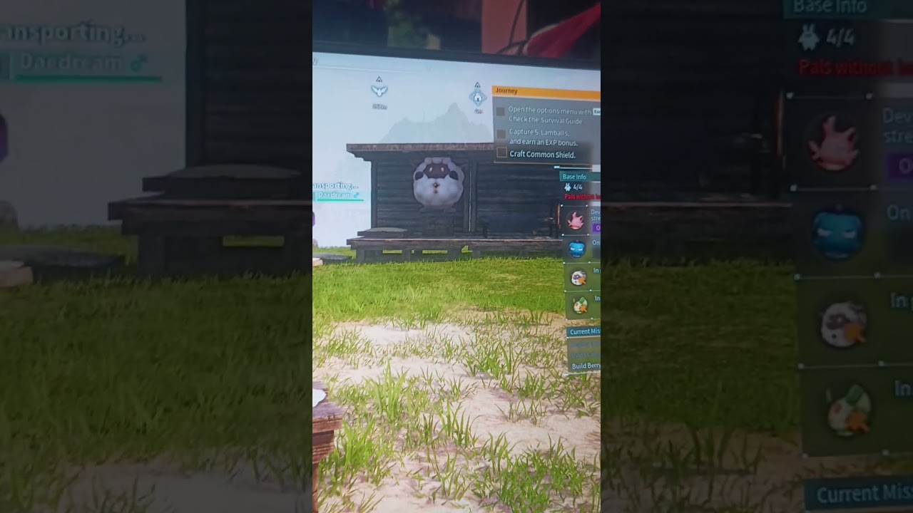 Ay pagal ho gaya Ji 👀 