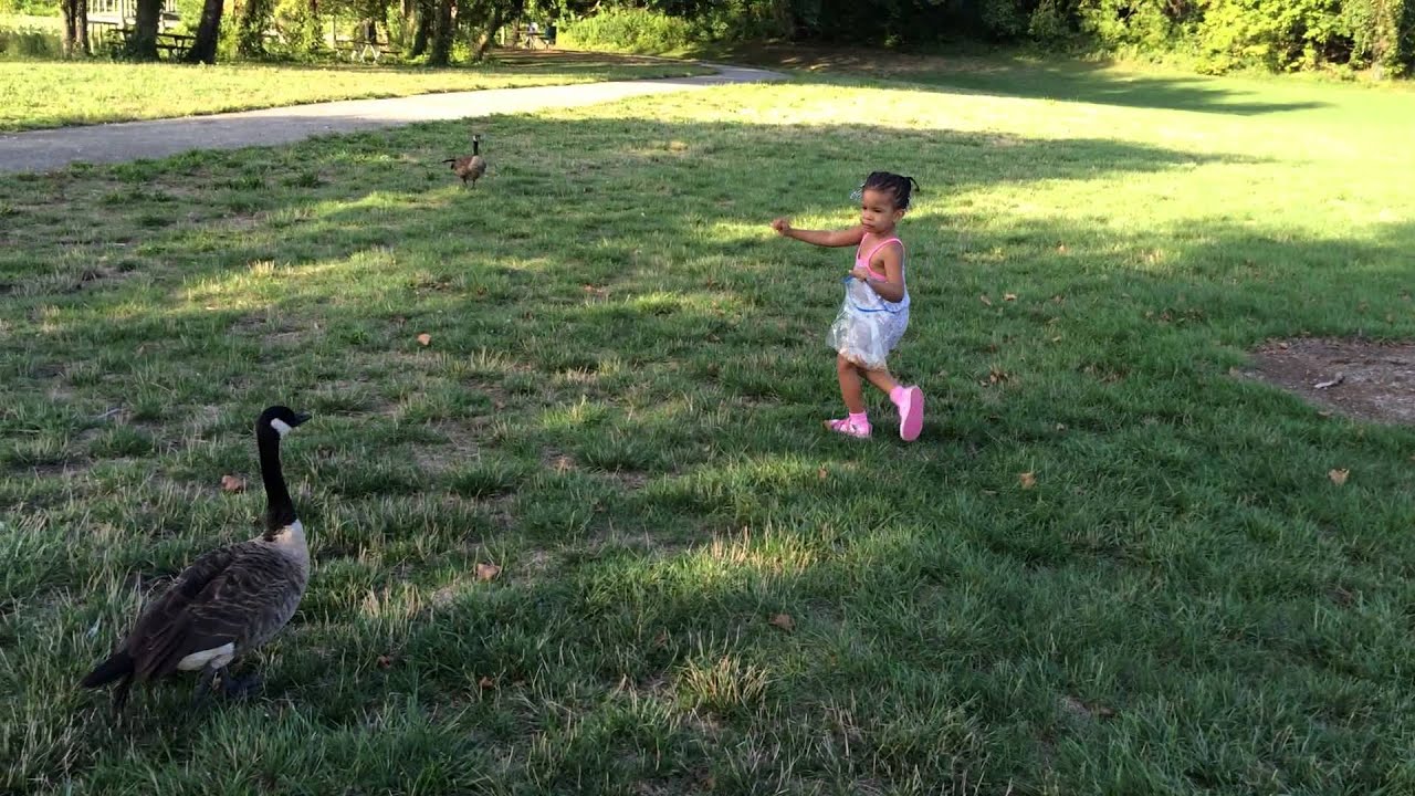 Donald Duck Scares Taylor