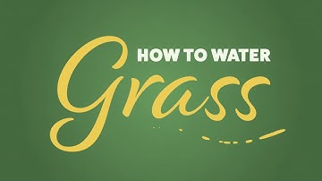 How to Water Grass: Cycle & Soak (Spring/Fall)