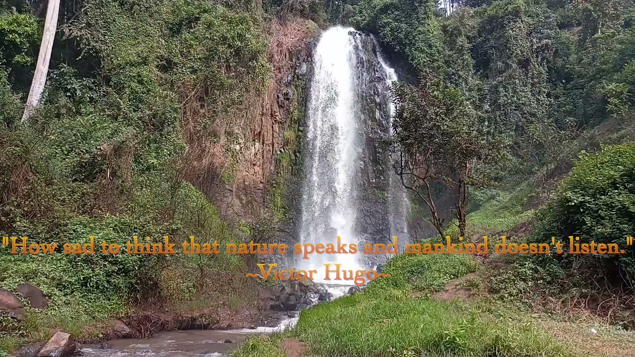 Relaxing video of a waterfall. Immerse yourself in nature.