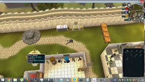 Animus 718 (New Runescape Private Server)