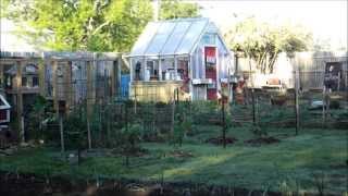 Discussing Off Grid, Future Plans and Survival