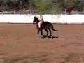 Barrel horse ace gives lesson to 6 yr old