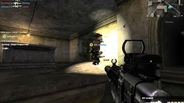 Combat Arms hacker: unlimited spawning of hornets