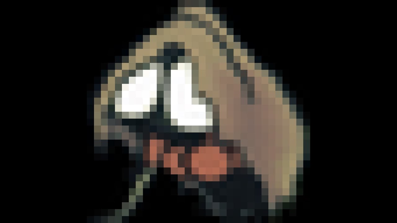 clips i got against gwonkee poorly edited to royalty free hype music