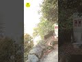 長崎 墓に埋もれた バラック集落 #shorts