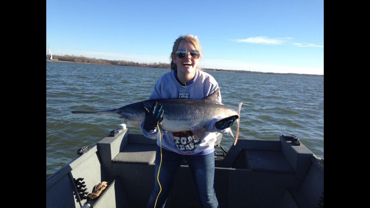 Dipsy Diver Paddlefish January Spoonbill YouTube