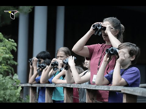 Binocular