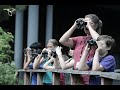 Understanding Binoculars