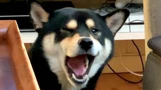 when you gotta sneeze but you can’t