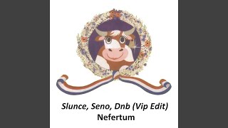 Video thumbnail of "Nefertum - Slunce, Seno, Dnb (Vip Edit)"